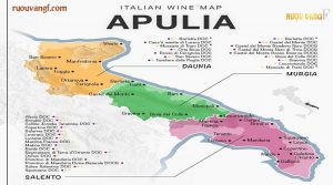 Vùng Primitivo Di Manduria sản xuất vang F Primitivo-Di-Manduria